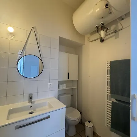 Lumineux Et Cosy Au Coeur De La * アジャクシオ