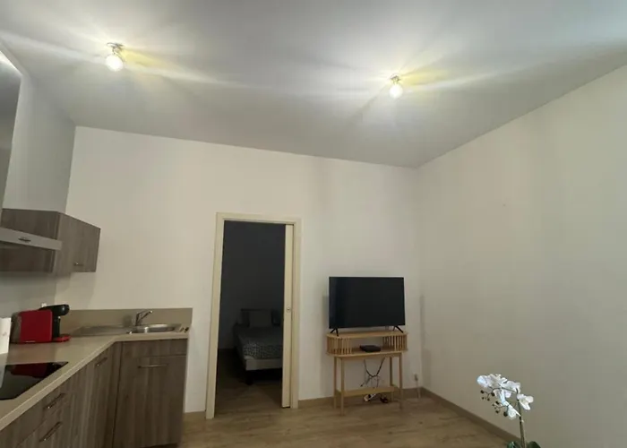 Lumineux Et Cosy Au Coeur De La Apartment *