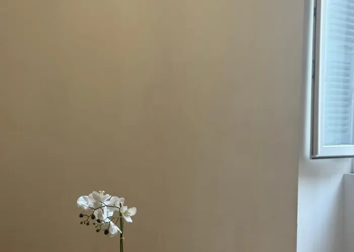 Apartment Lumineux Et Cosy Au Coeur De La *